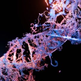 Dr. Bruce Lipton: What Epigenetics Reveals About Cells