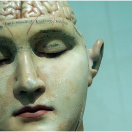 The Extended Mind by Annie Murphy Paul: Book Overview