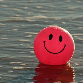 Questioning the Validity of the World Happiness Report