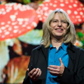 Suzanne Simard: Biography and Career