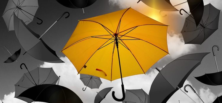 What Makes Your Product Unique? How to Stand Out What Makes Your Product Unique? How to Stand Out
