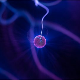 Why Are Neurotransmitters Important for Brain Performance?
