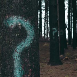 Start With Why Discussion Questions (Simon Sinek)