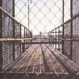 Max Weber’s Iron Cage: Are We Trapped Beyond Hope?