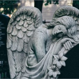 Death Is a Natural Part of Life—And That’s a Happy Thought