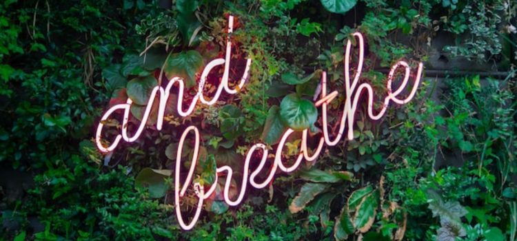 Patrick McKeown’s 5 Breathing Exercises for Relaxing Patrick McKeown’s 5 Breathing Exercises for Relaxing