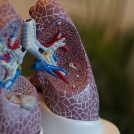Patrick McKeown: Breathing Too Much Can Ruin Your Life