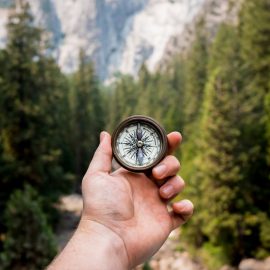 Goal Setting as a Life Coach: Marcia Reynolds’s Tips