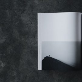 Black Like Me Book Review (John Howard Griffin)