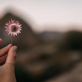 3 Characteristics of Attention (From Daniel Goleman’s Focus)