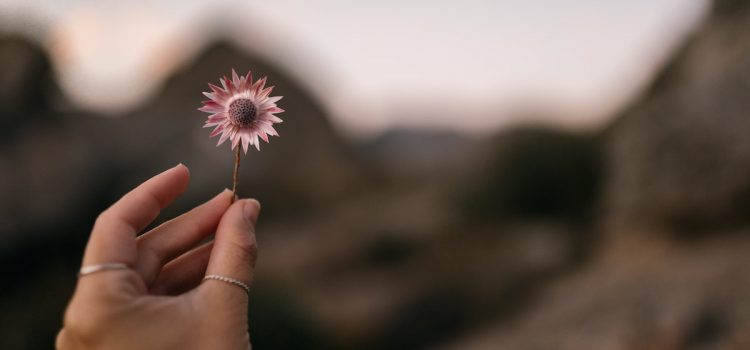 How to Communicate With Big-Picture vs. Detail-Oriented People How to Communicate With Big-Picture vs. Detail-Oriented People