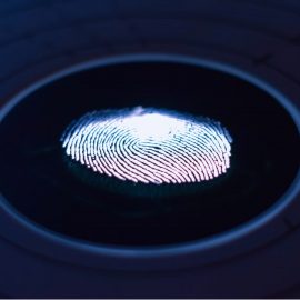 Psychology Behind True Crime Obsession: Know the Red Flags