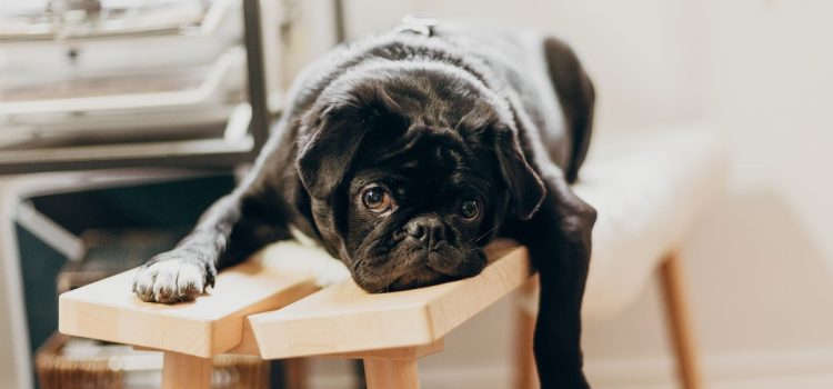 What Is Discipline in Life—and Why Is It So Difficult?