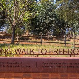 Nelson Mandela and Apartheid: The Battle of a Lifetime