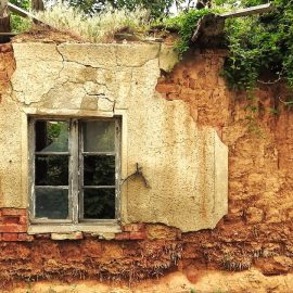The Earth After Humans: Alan Weisman’s Thought Experiment