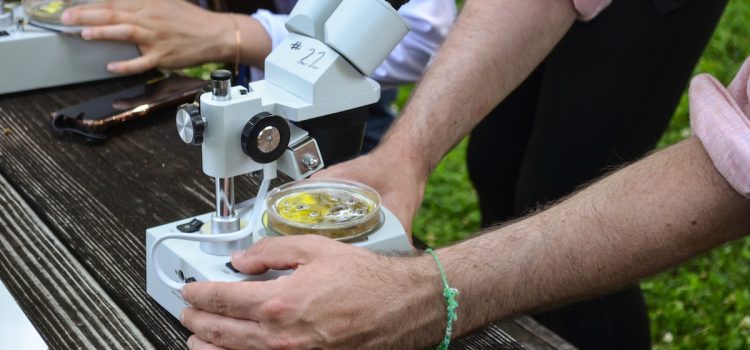 Steven Koonin: Climate Science Needs a Serious Overhaul Steven Koonin: Climate Science Needs a Serious Overhaul