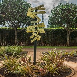 The Origin of Pidgin: The Intriguing Story of Language Mashups