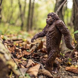 Why Aren’t There More Transitional Species? Darwin Explains