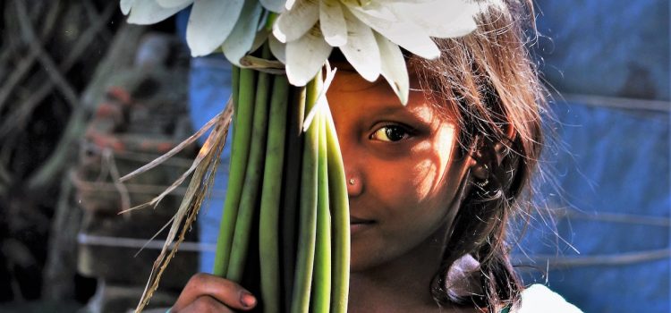 How to Support a Shy Child: It’s Not About Confidence How to Support a Shy Child: It’s Not About Confidence