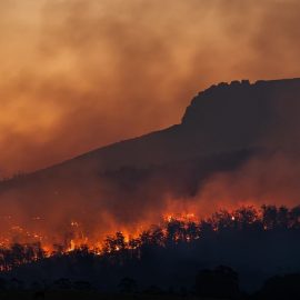 Is Climate Optimism Toxic or Helpful?