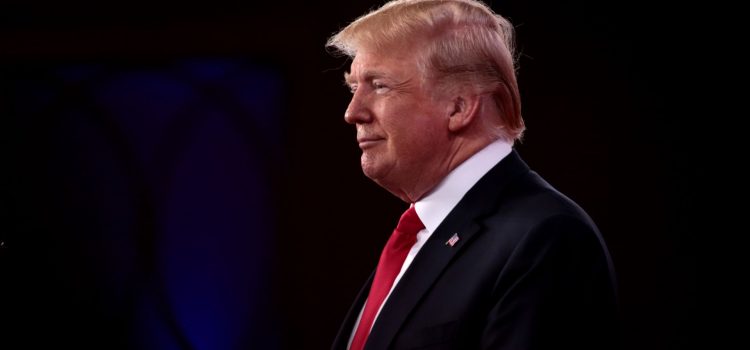 Donald Trump’s Childhood: Conditional Love and Manipulation Donald Trump’s Childhood: Conditional Love and Manipulation