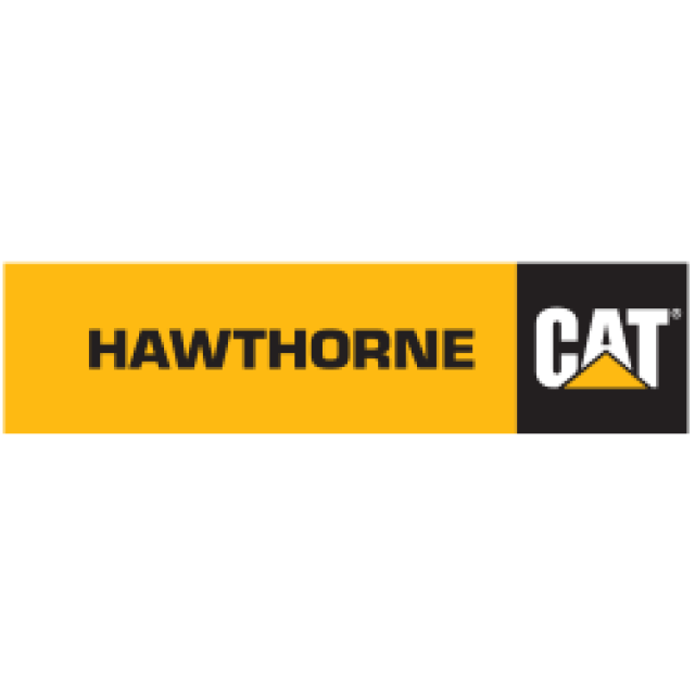 Hawthorne Cat