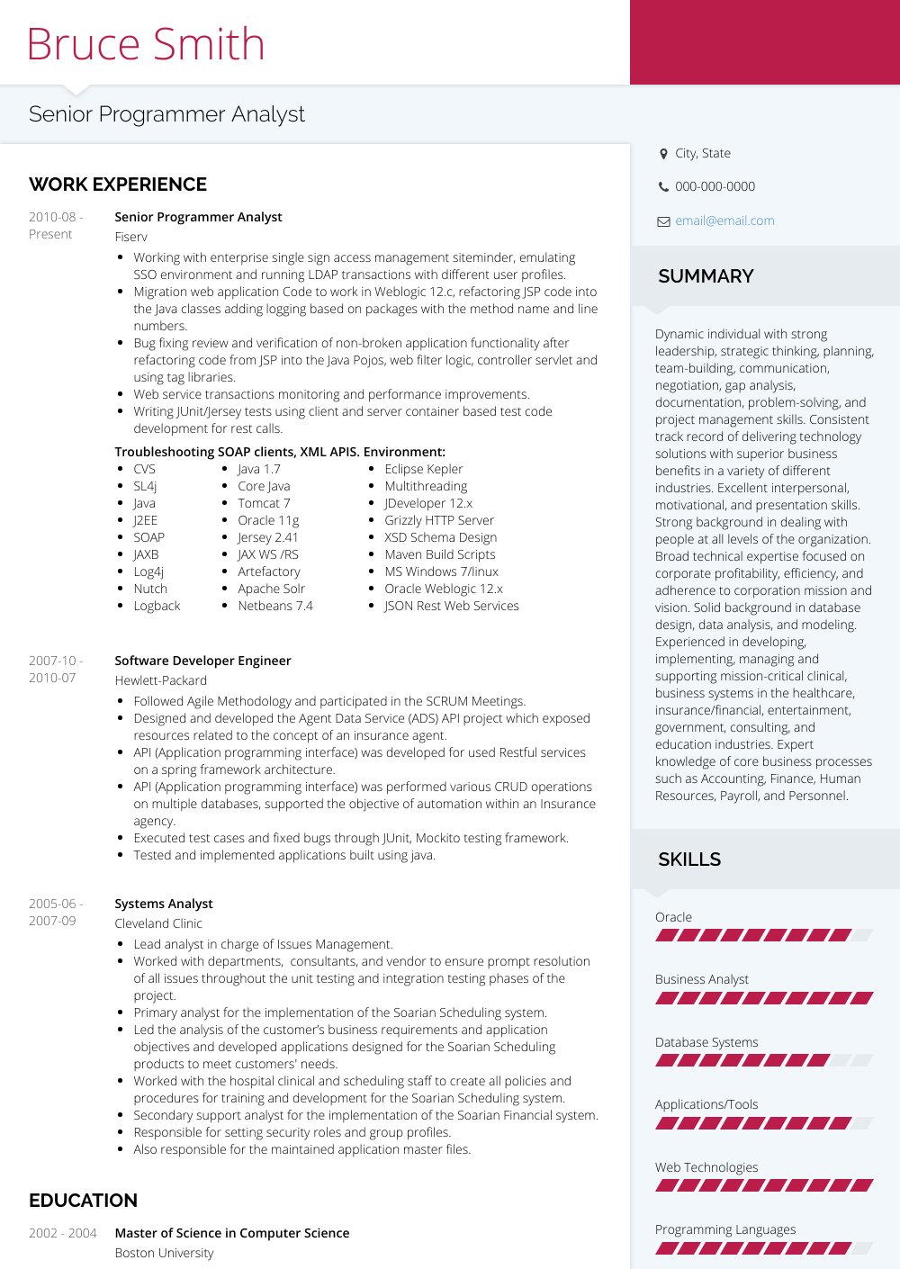 programmer analyst resume samples templates visualcv business analyst cv