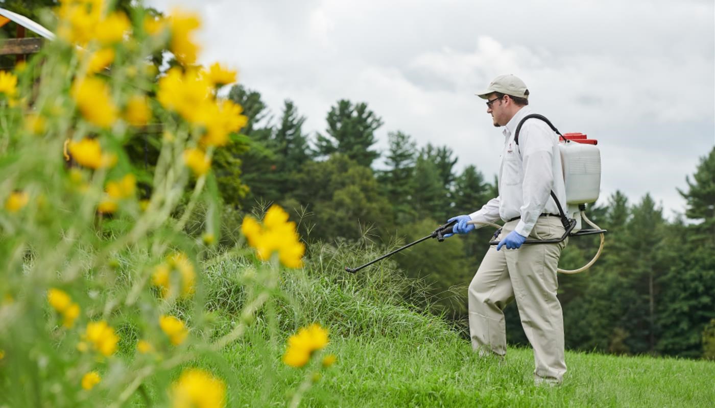 Modern Pest Services Augusta Maine All information about