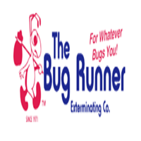The Bug Runner