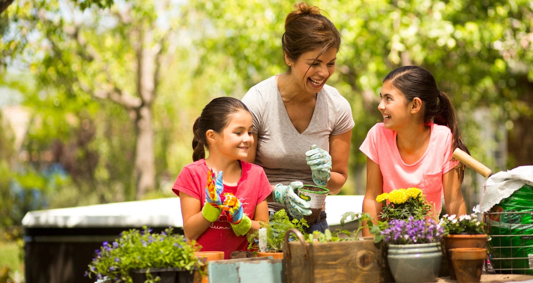 Dc Area Hot Tubs Outdoor Furniture Game Rooms Rockville And