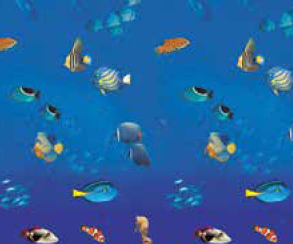 Above Ground Pool Liners Apollo Pools & Spas