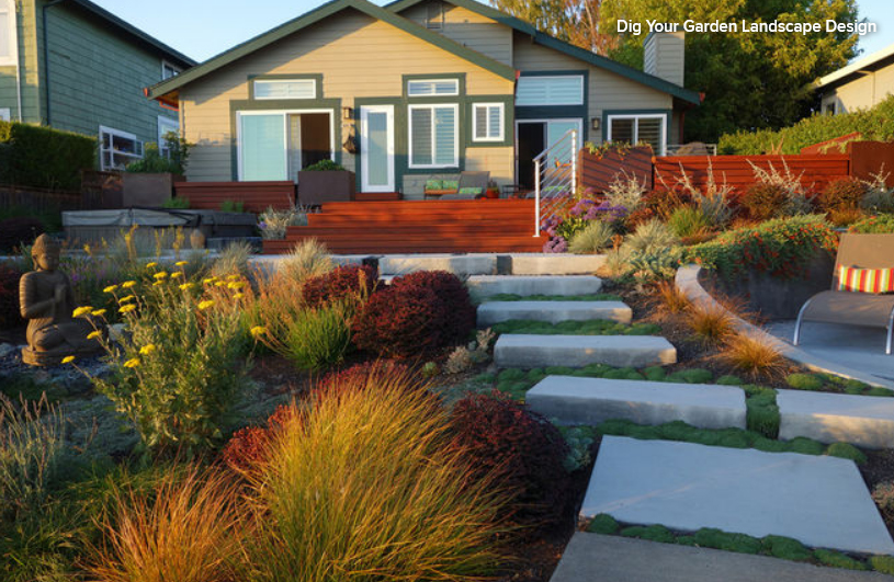 Dazzling Fall Gardens