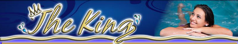 Dynasty Spas King Series at Hot Shots Hot Tubs and Spas