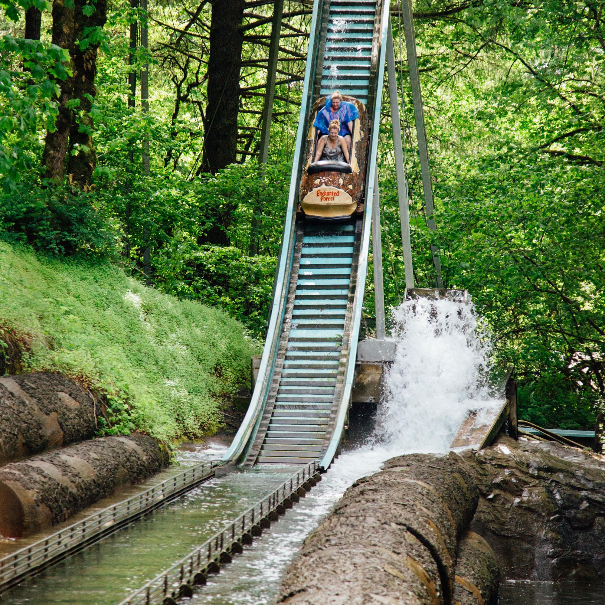 Enchanted Forest Theme Park