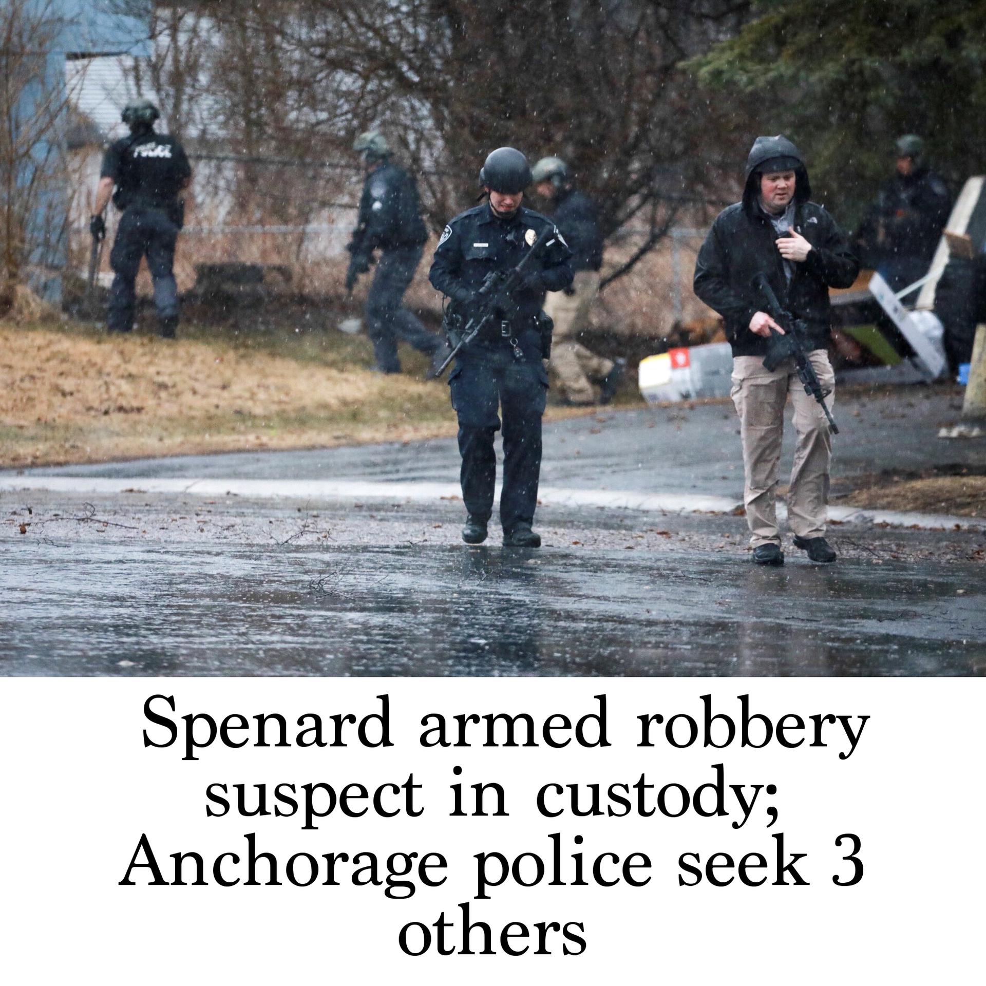 Armed Robbery Suspect In Custody