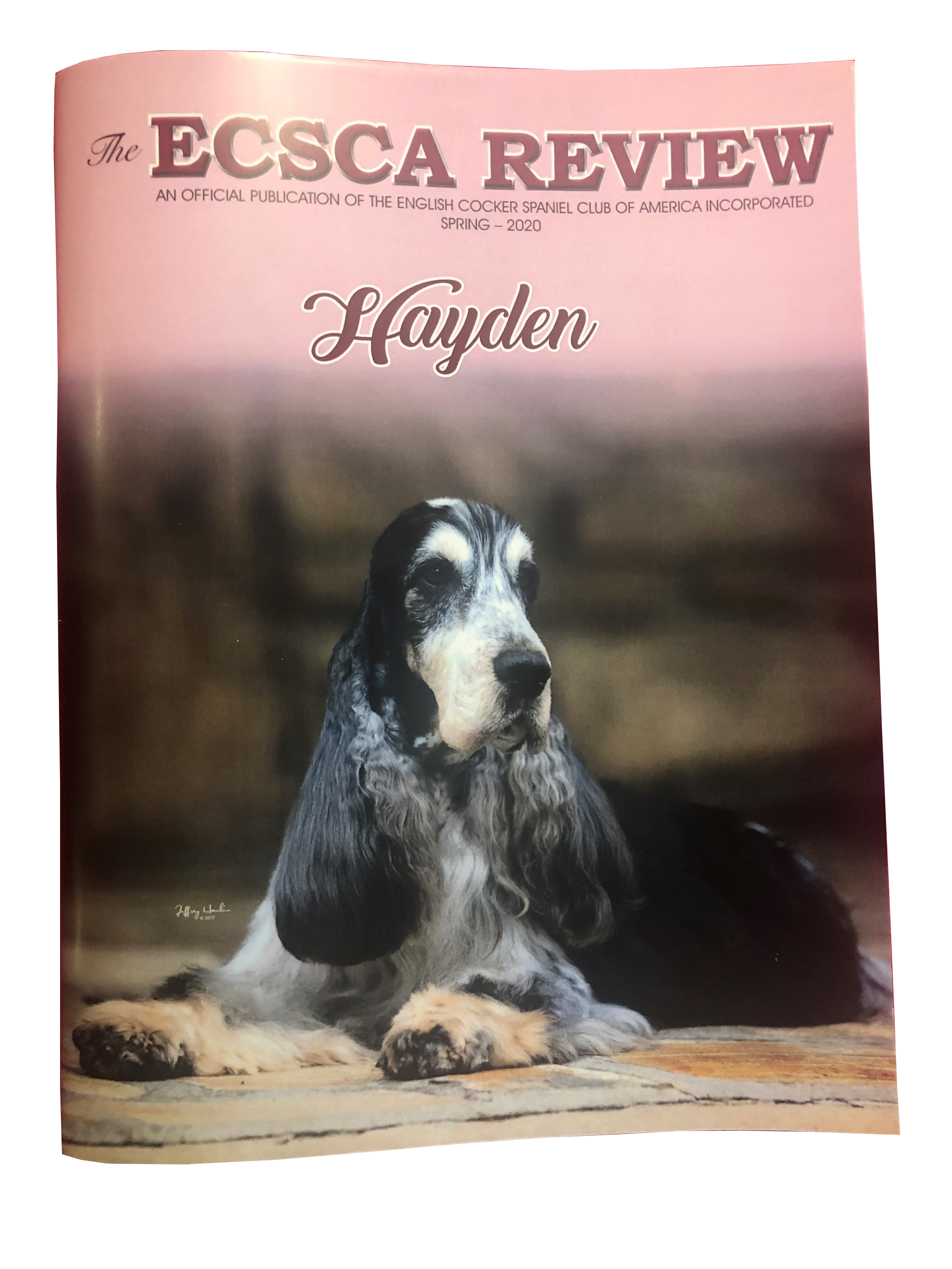 Review Magazine Subscription Non Member