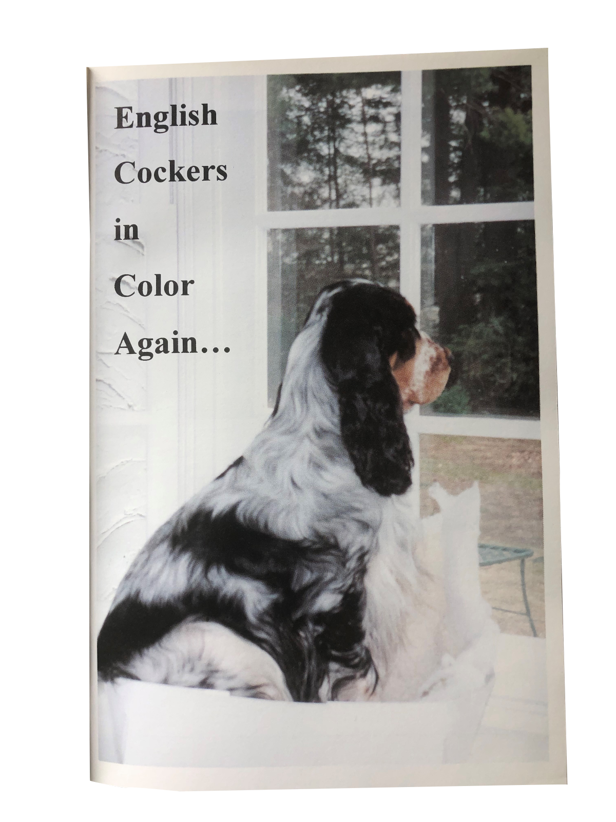 English Cockers in Color – Again