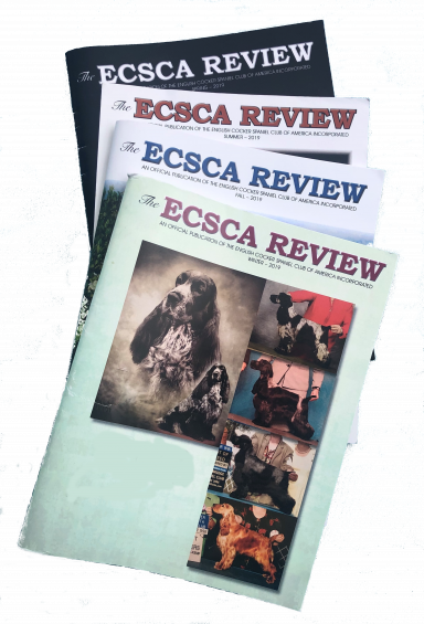 Review Magazine Past Publications