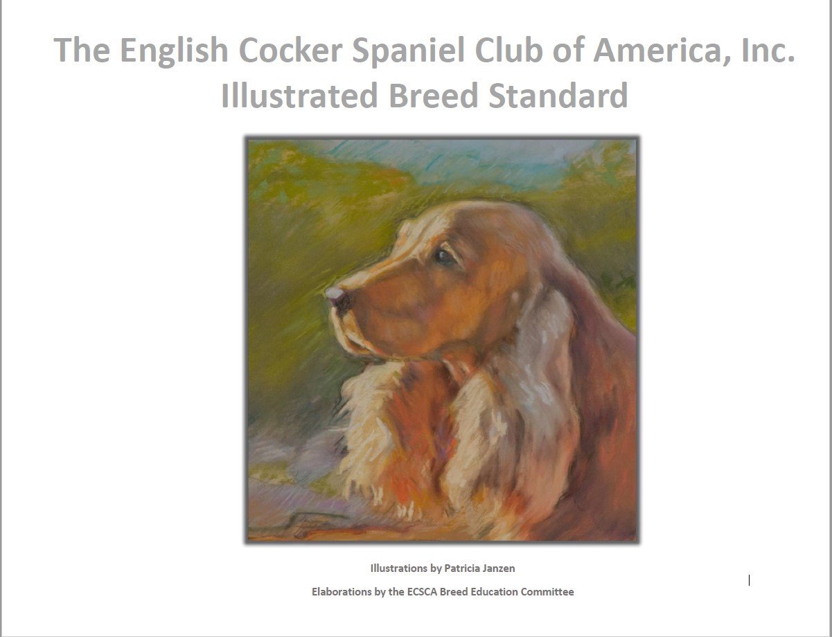 ECSCA Illustrated Breed Standard p1
