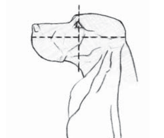 Understanding ECS Heads