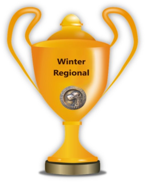 Winter Regional Trophies