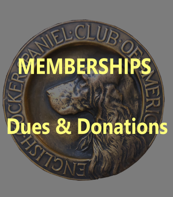 Club Emblem Darkened Memberships Dues & Donations