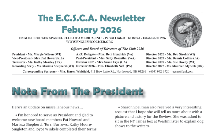 Cropped Newsletter Screenshot