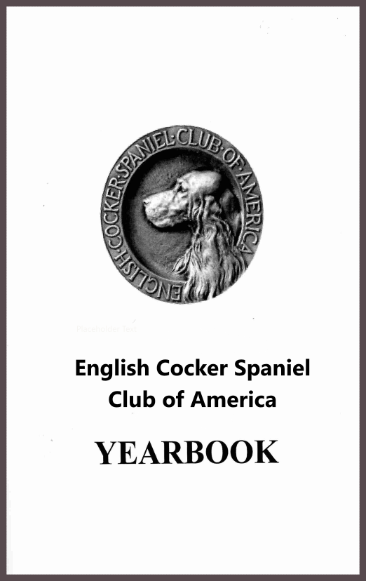Yearbook Advertising