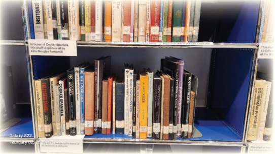 Kate's shelves at the AKC Museum of the Dog