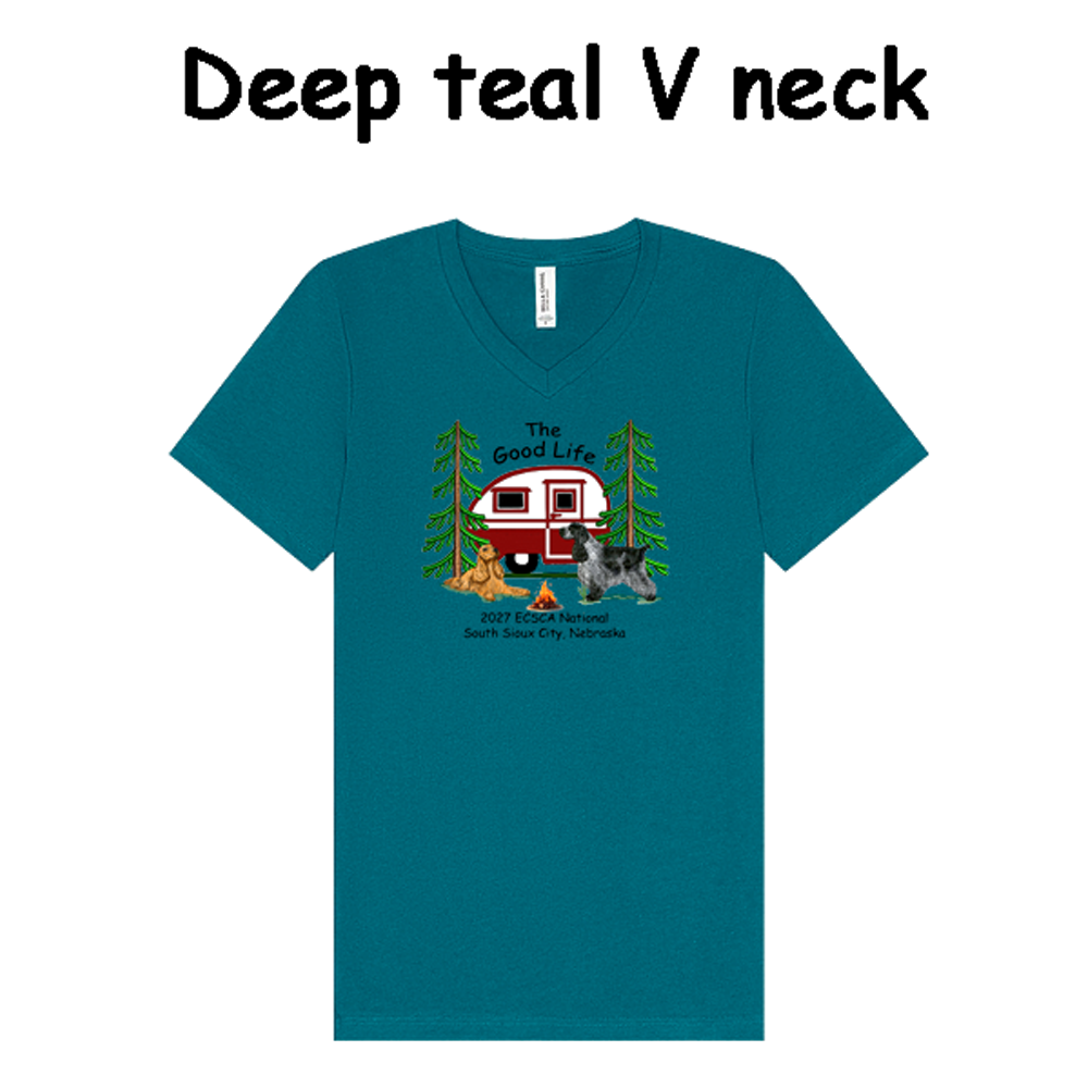 National V-Neck T-Shirt - Image 2