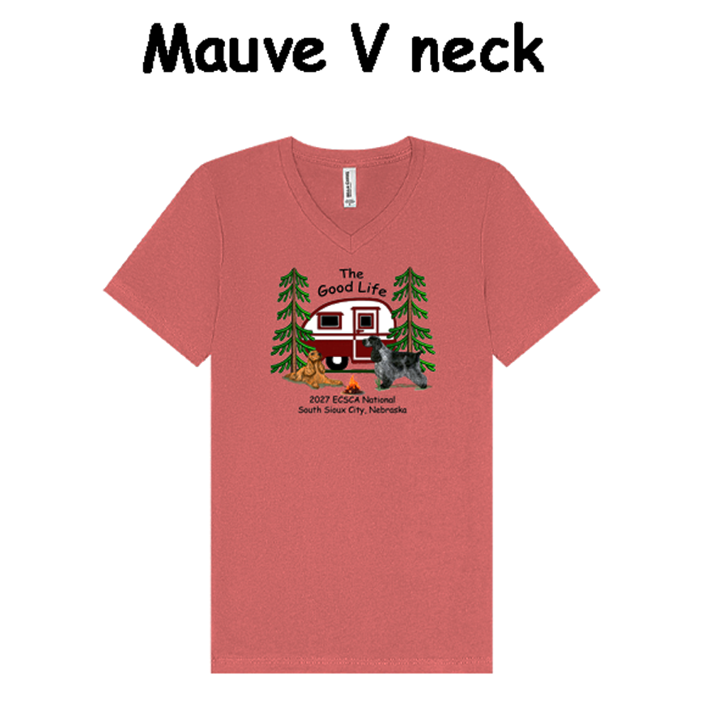 National V-Neck T-Shirt - Image 3