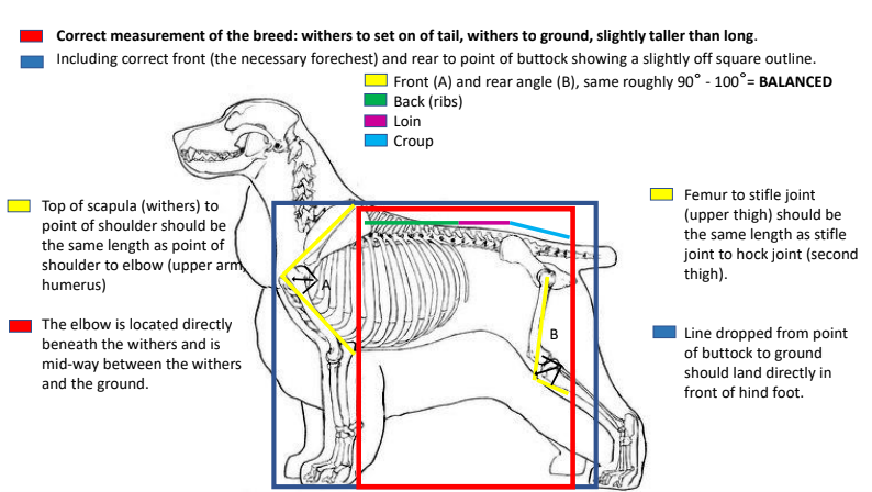 Quick Study Cards Screenshot