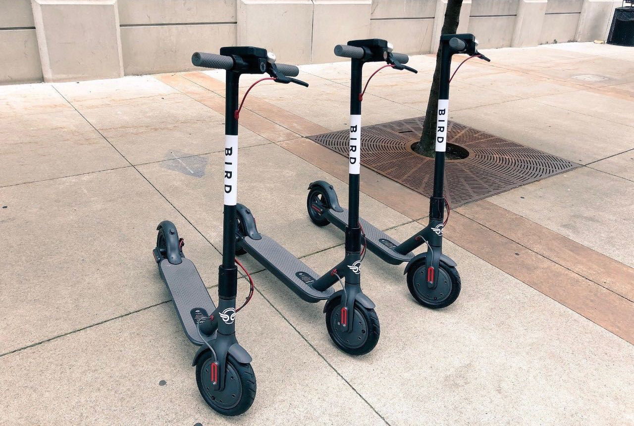How To Use Bird Scooter