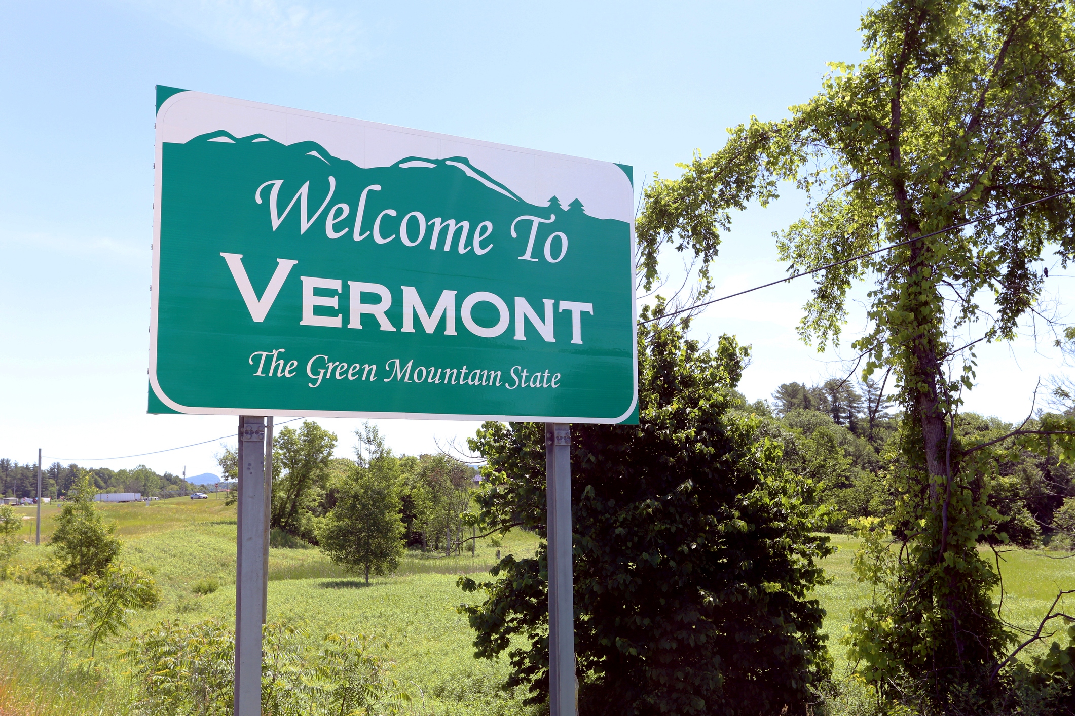 Vermont names former IBM executive as new chief data officer StateScoop